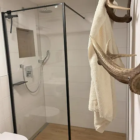 Apartment Rainerweber Bochseitn